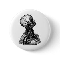 Anatomy Bust buttons by spyderfyngers Anatomy Bust buttons