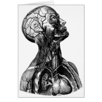 Anatomy Bust Card