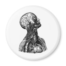 Anatomy Bust Refrigerator Magnet