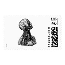 Anatomy Bust Postage