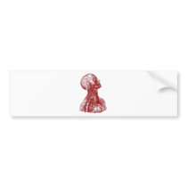 Anatomy Bust Red Bumper Sticker