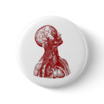 Anatomy Bust Red Pinback Buttons