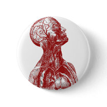 Anatomy Bust Red buttons by spyderfyngers Anatomy Bust Red buttons