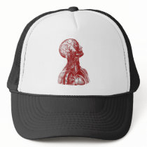 Anatomy Bust Red Hats
