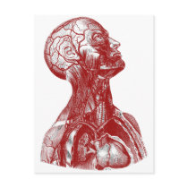 Anatomy Bust Red postcards by spyderfyngers Anatomy Bust Red postcards