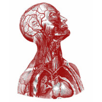 Anatomy Bust Red t-shirts