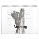 Anatomy Calender Wall Calendars