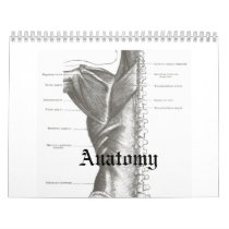 Anatomy Calender Wall Calendars