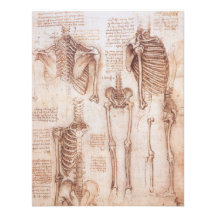 Anatomy Drawings Human Skeletons Leonardo da Vinci Personalized Invites