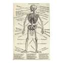Anatomy Engraving posters