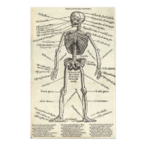 Anatomy Engraving posters
