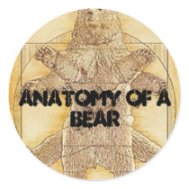 Anatomy of a Bear sticker by anatomyofabear Anatomy of a Bear sticker