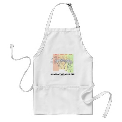 Anatomy Of A Builder (Worker Ant Anatomy) Aprons by wordsunwords