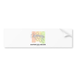 Anatomy Of A Builder (Worker Ant Anatomy) bumpersticker