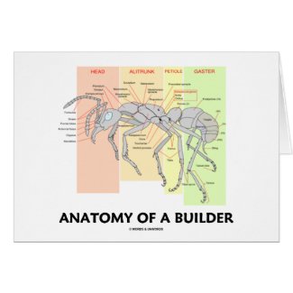 Anatomy Of A Builder (Worker Ant Anatomy) Card