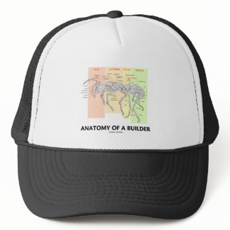 Anatomy Of A Builder (Worker Ant Anatomy) hat