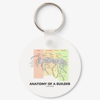 Anatomy Of A Builder (Worker Ant Anatomy) keychain