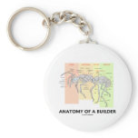 Anatomy Of A Builder (Worker Ant Anatomy) Key Chains