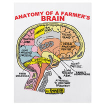 ANATOMY OF A FARMER'S BRAIN flyers by agriculture_gifts ANATOMY OF A FARMER'S BRAIN flyers