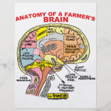 ANATOMY OF A FARMER'S BRAIN FLYERS