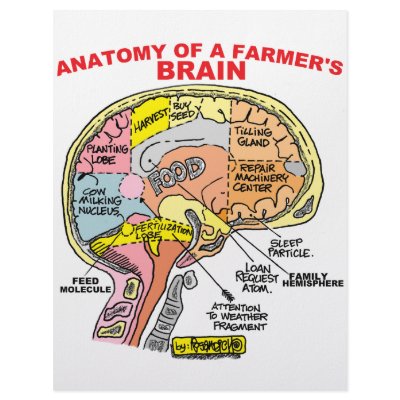 ANATOMY OF A FARMER'S BRAIN CUSTOMIZED LETTERHEAD by agriculture_gifts