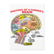 ANATOMY OF A FARMER'S BRAIN postcards by agriculture_gifts ANATOMY OF A FARMER'S BRAIN postcards