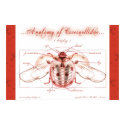 Anatomy of a Ladybug (Coccinellidae) Poster posters by ladybugland Anatomy of a Ladybug (Coccinellidae) Poster posters