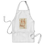 Anatomy of a Male Nude aprons