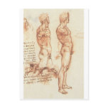 Anatomy of a Male Nude Postcard