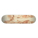 Anatomy of a Male Nude Skateboard