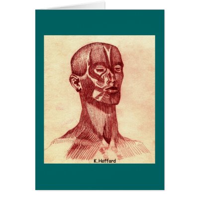 Anatomy of a Man Greeting Cards by Hoffard
