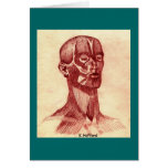 Anatomy of a Man Greeting Cards