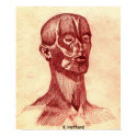 Anatomy of a Man posters by Hoffard Anatomy of a Man posters