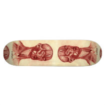 Anatomy of a Man skateboards