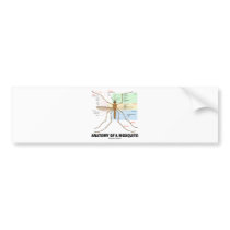 Anatomy Of A Mosquito Bumper Sticker