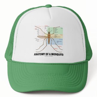 Anatomy Of A Mosquito hat