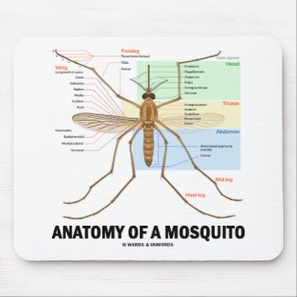 Anatomy Of A Mosquito mousepad