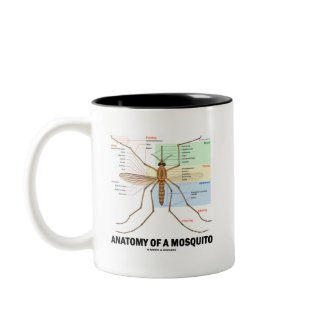 Anatomy Of A Mosquito mug