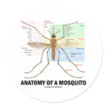 Anatomy Of A Mosquito Round Stickers