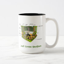 Anatomy of a Plant Leaf mugs
