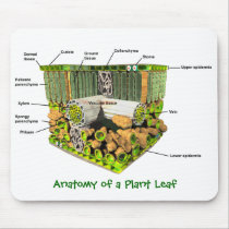 Anatomy of a Plant Leaf mousepad mousepads