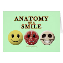 Anatomy of a Smile Greeting Cards