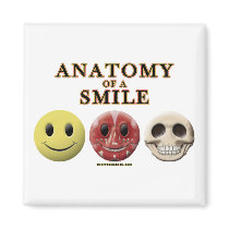 Anatomy of a Smile Magnets