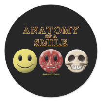 Anatomy of a Smile Round Sticker
