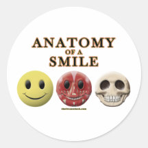 Anatomy of a Smile Stickers
