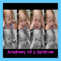 anatomy of a tantrum posters