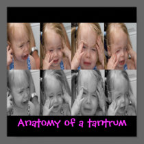 anatomy of a tantrum posters