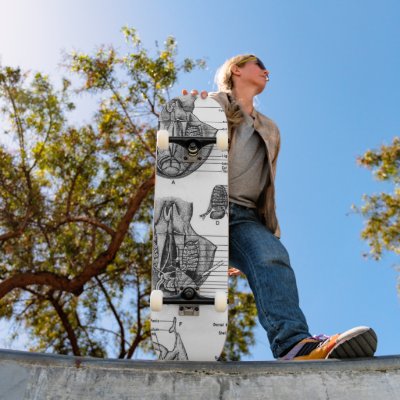Anatomy of an Oct8pus Custom Skateboard by Mikeybillz