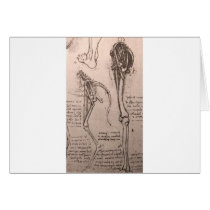 Anatomy of dog and man greeting card
