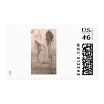 Anatomy of dog and man postage stamp